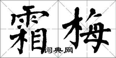 翁闿运霜梅楷书怎么写