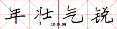 袁强年壮气锐楷书怎么写