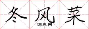 袁强冬风菜楷书怎么写