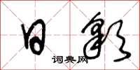 王冬龄日彩草书怎么写
