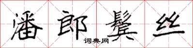袁强潘郎鬓丝楷书怎么写
