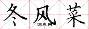 丁谦冬风菜楷书怎么写