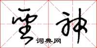 王冬龄圣神草书怎么写