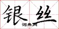 丁谦银丝楷书怎么写