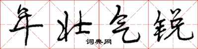 曾庆福年壮气锐行书怎么写
