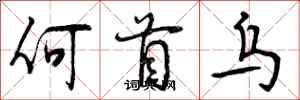 曾庆福何首乌行书怎么写