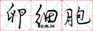 曾庆福卵细胞行书怎么写