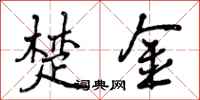 曾庆福楚金行书怎么写