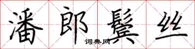 荆霄鹏潘郎鬓丝楷书怎么写