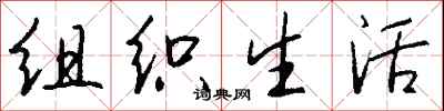钱沛云组织生活行书怎么写