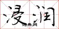 曾庆福浸润行书怎么写