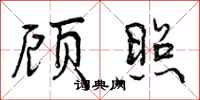 曾庆福顾照行书怎么写