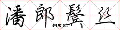 荆霄鹏潘郎鬓丝行书怎么写