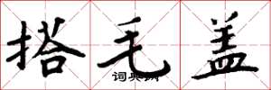 周炳元搭毛盖楷书怎么写
