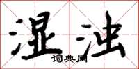 周炳元湿浊楷书怎么写