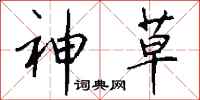 钱沛云神草行书怎么写