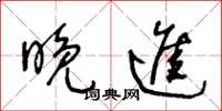 王冬龄晚进草书怎么写
