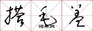 王冬龄搭毛盖草书怎么写