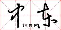 刘少英中东草书怎么写