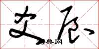 刘少英爻辰草书怎么写