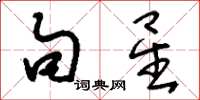 刘少英句星草书怎么写