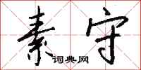 钱沛云素守行书怎么写