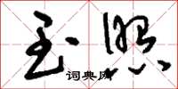 刘少英玉照草书怎么写