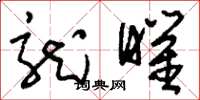 刘少英龙曜草书怎么写
