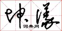 刘少英坤仪草书怎么写