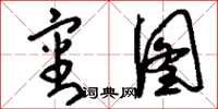 刘少英审图草书怎么写
