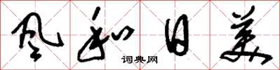 刘少英風和日美草书怎么写