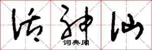 刘少英活神仙草书怎么写