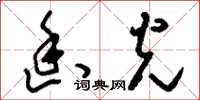 刘少英幽光草书怎么写