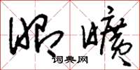 刘少英昭旷草书怎么写