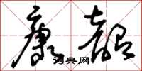 刘少英康韶草书怎么写