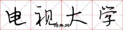 段相林电视大学行书怎么写