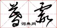 刘少英暮霞草书怎么写