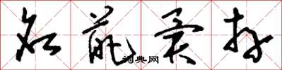 刘少英名葩异卉草书怎么写
