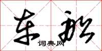 朱锡荣车船草书怎么写