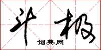 朱锡荣斗极草书怎么写