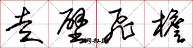 朱锡荣走壁飞檐草书怎么写