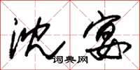 朱锡荣沈宴草书怎么写