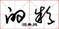 朱锡荣的款草书怎么写