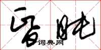 朱锡荣昏盹草书怎么写