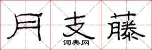 范连陞月支藤隶书怎么写