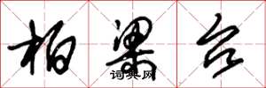 朱锡荣柏梁台草书怎么写