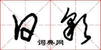 朱锡荣日彩草书怎么写
