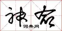 朱锡荣神命草书怎么写