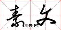 朱锡荣素文草书怎么写