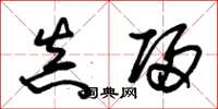 朱锡荣真归草书怎么写